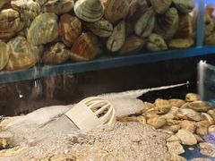 -苏格里岛自助烤肉海鲜火锅(成都金牛万达店)