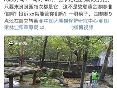 -都江堰中华大熊猫苑