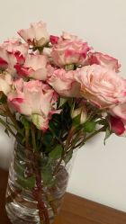 -L+奥拉接发烫发染发