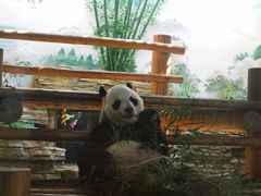 -西霞口神雕山野生动物世界