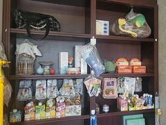 -宠爱国际动物医院·疑难骨科·心肾内科·皮肤科(太阳宫店)