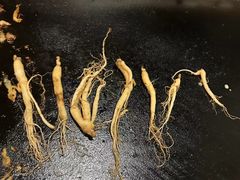 -果松木炭酸菜铜火锅·外婆参鸡汤