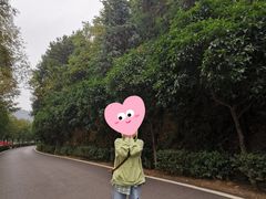 -石燕湖生态旅游景区