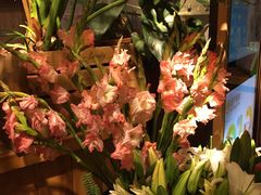 -春暖花开(西溪店)