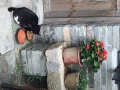 iphone_upload_pic-老屋咖啡