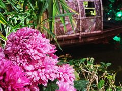 -花溪雨·森林餐厅(石基店)