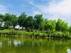 -东郊湿地公园