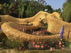 -深圳仙湖植物园