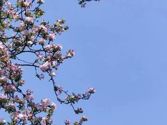 -莫愁湖公园