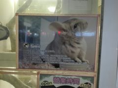 -龙猫仔乐园(惠福东路店)