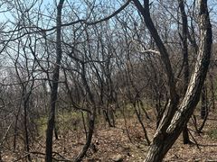 -沈阳辉山风景区