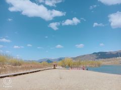 -永定河休闲森林公园