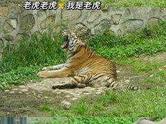 -西安秦岭野生动物园