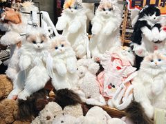 -番茄口袋(上海普陀区环球港店)