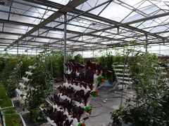 -兰陵国家农业公园