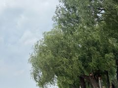 -长春市南湖公园