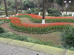 -忠山公园