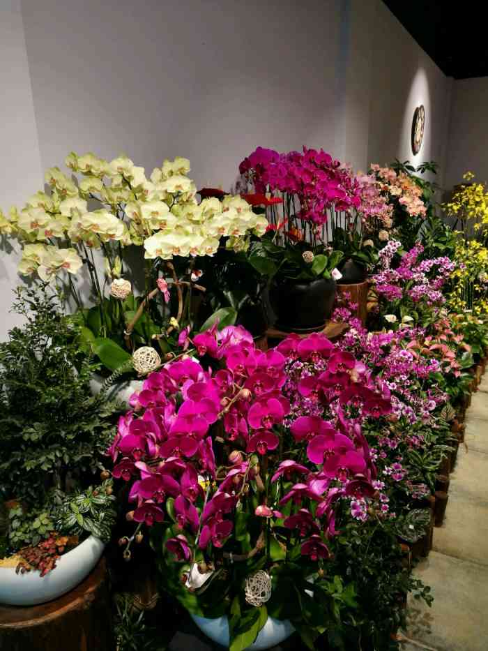 有家花店(人民公园店)