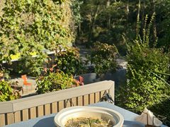 -龙井壹号·茶缘山景宴(龙井村店)