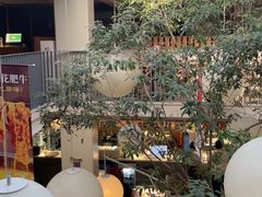 -馋嘴猫北京食堂·烤鸭·宵夜(亚运村店)