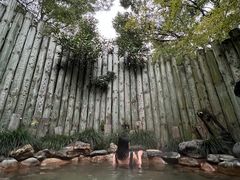 -张家港金凤凰度假村温泉