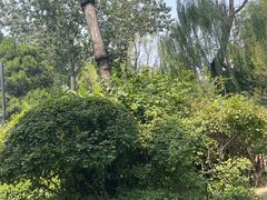 -迎泽公园