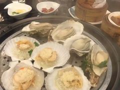 -郑州美盛喜来登大酒店