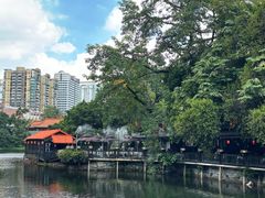 -侨美·唐荔园·40年地道粤菜