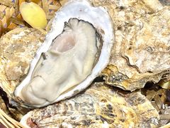 -蚝堡海鲜·威海菜·海肠捞饭·烧烤·亚洲吃蚝公司(幸福门店)