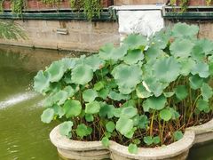 -Peet's Coffee皮爷咖啡(豫园店)