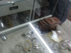 -青岛贝壳博物馆