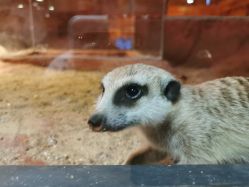 -酷嗒动物文化乐园(cutezoo西溪乐天城店)