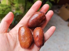 -双福水果批发市场
