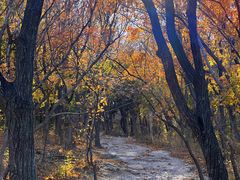 -北京西山国家森林公园