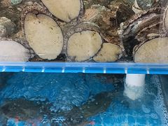 -聚德福海鲜家常菜(刘庄店)