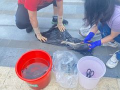 -光明食品集团有限公司