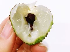 -PAGODA百果园(深圳天琴阁店)