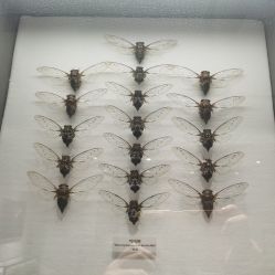 点击看大图 -酷嗒动物文化乐园(cutezoo西溪乐天城店)