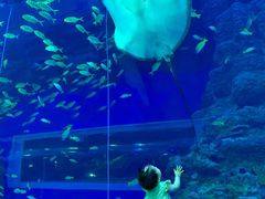-成都浩海立方海洋公园