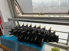 -宫品海参专卖店(静安大宁店)