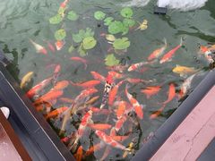 -濮园 · 四合院餐厅