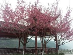-乌江画廊(彭水苗族土家族自治县)
