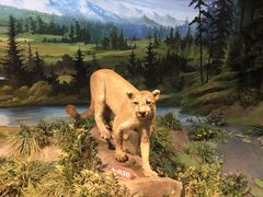 -陕西自然博物馆