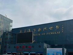 -蓬莱欧乐堡海洋极地世界