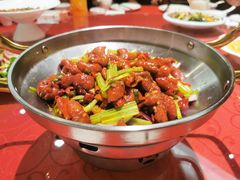 -喜满堂 望喜园·融合菜