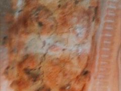 -BreadTalk面包新语·烘焙蛋糕(领展购物广场店)