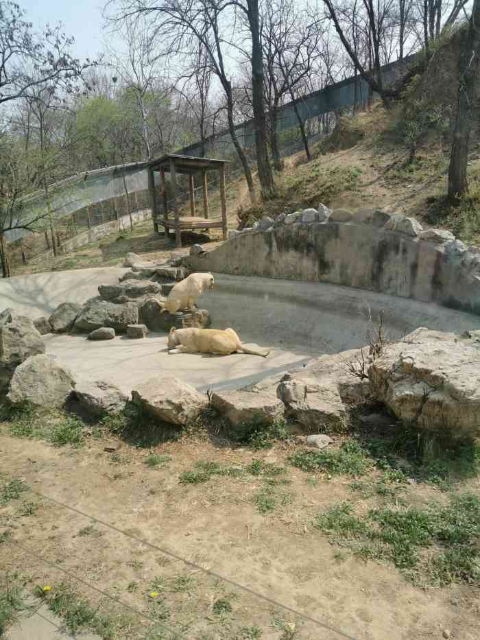 石家莊市動物園-