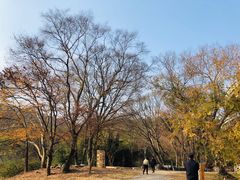 -南京市无想山景区