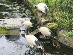 -悉尼歌剧院