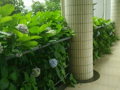 android_upload_pic-江南大学(蠡湖校区)